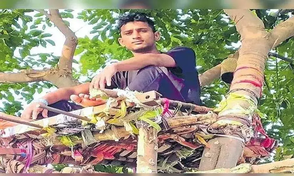 Covid victim spends 11 days on tree