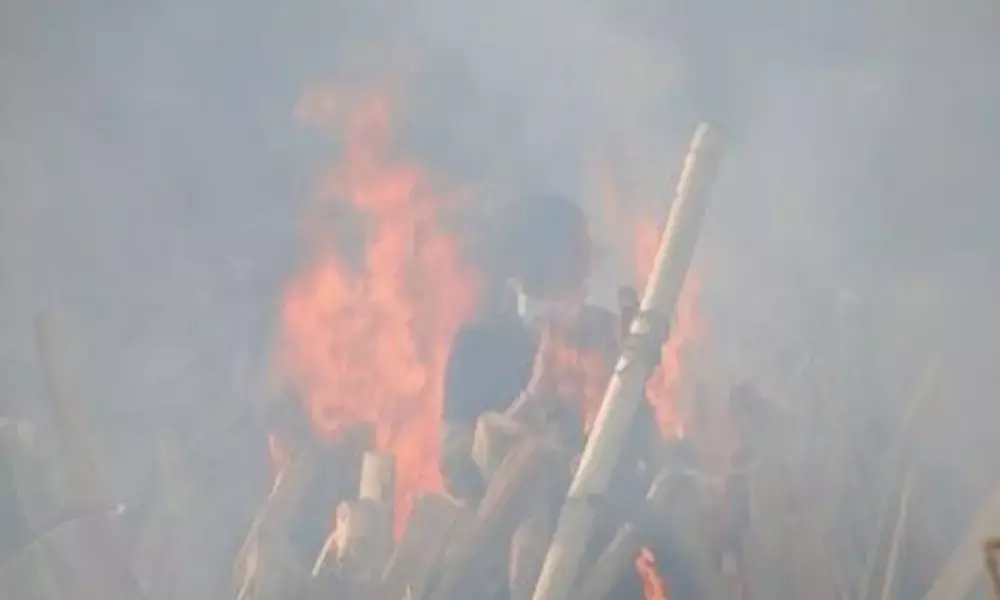 Travails of a wife to cremate husband