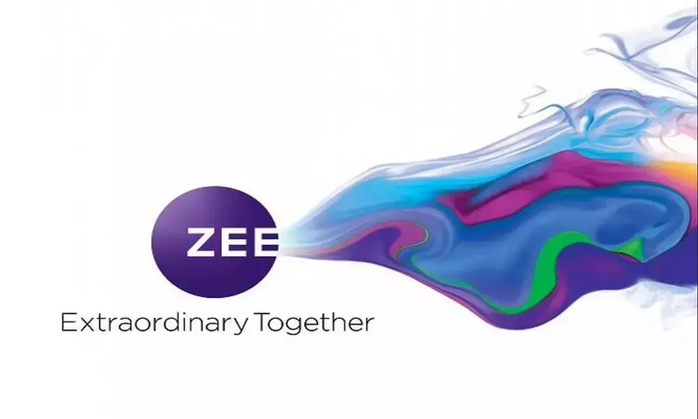 Zee Entertainment Enterprise Ltd