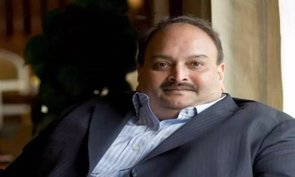 Choksi, who is wanted by the CBI and the ED in connection with the over Rs 13,500 crore Punjab National Bank (PNB) loan fraud case, has reportedly been taken into custody in Dominica on Wednesday