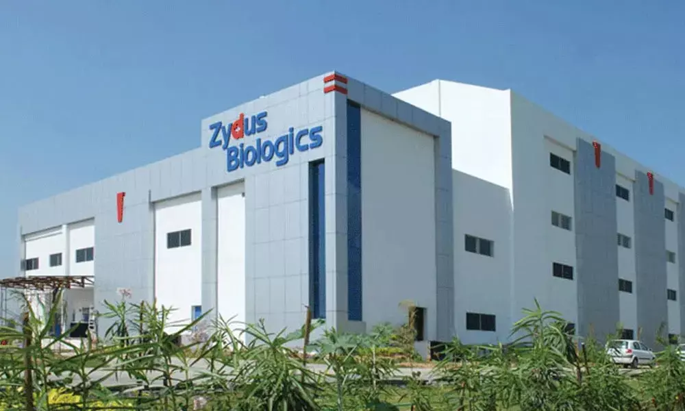 Zydus gets USFDA nod to market asthma-treating Theophylline extended-release tablets