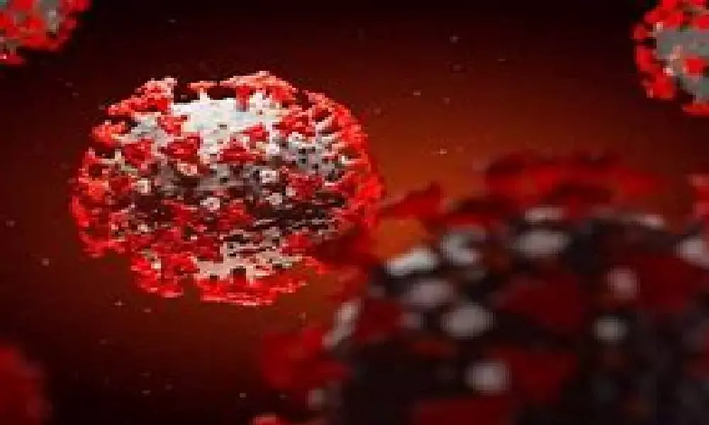 B1617 variant spreading at frightening speed globally: Experts