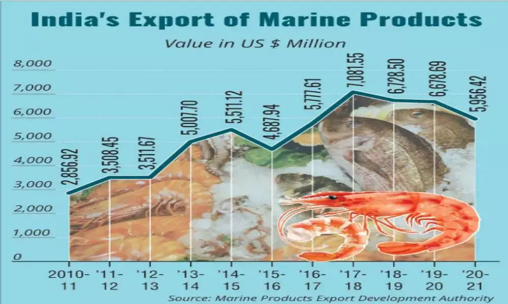 Covid, sluggish market hit seafood exports hard