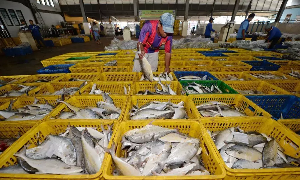 Marine exports dip nearly 11%