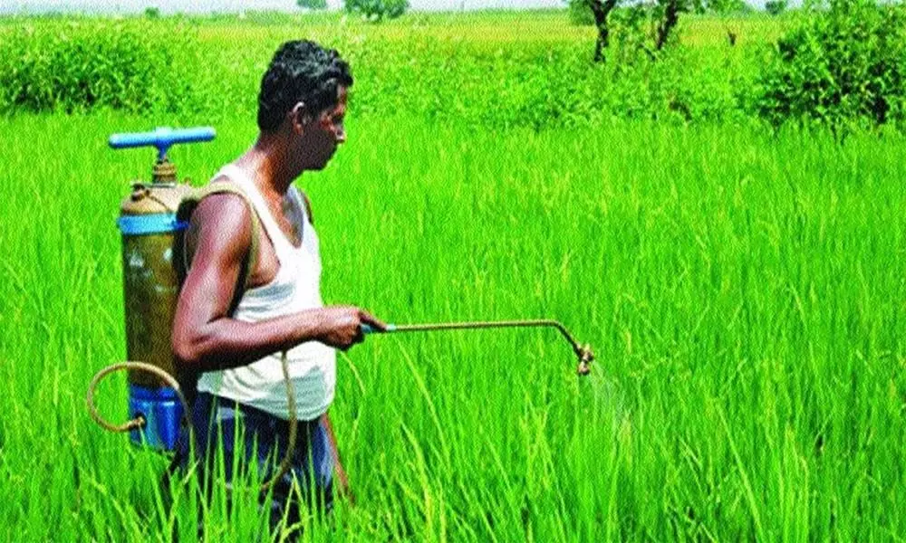 Agri sector immune to Covid 2.0: Niti Aayog Agri sector immune to Covid 2.0: Niti Aayog