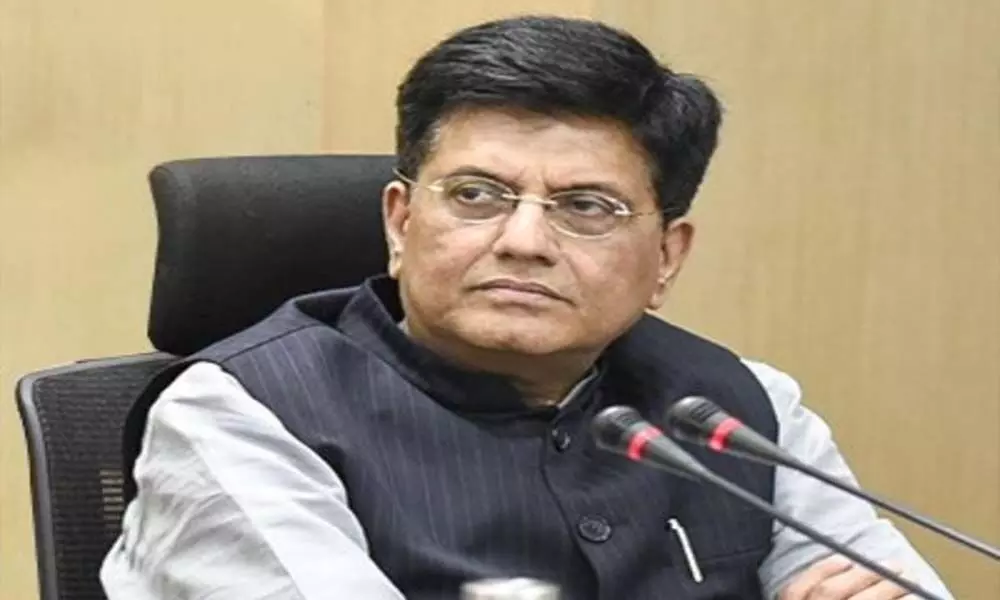 World needs to decouple trade policy, green goals: Goyal