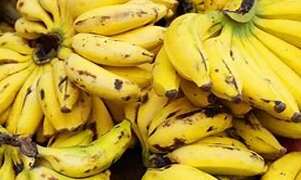 AP exports 42,935 MT of bananas during 2020-21