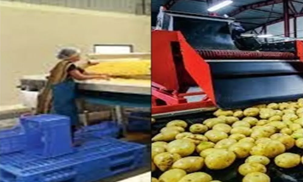 Food processing becomes preferred sector in UP