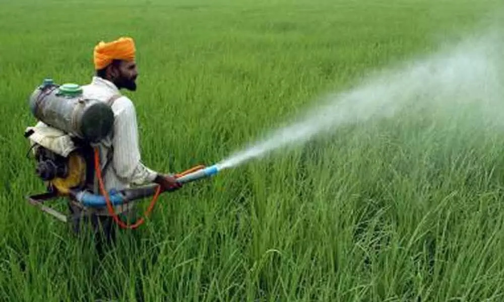 India Pesticides posts 100% growth on capacity expansion