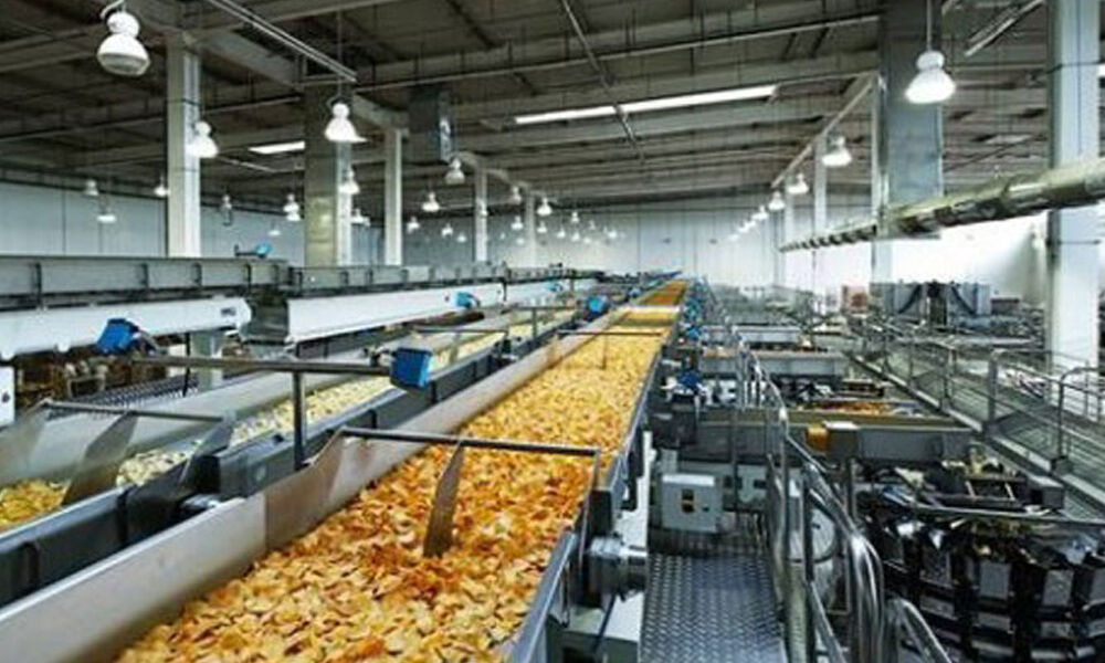 How To Set Up A Food Processing Unit at Pauline Tomlinson blog