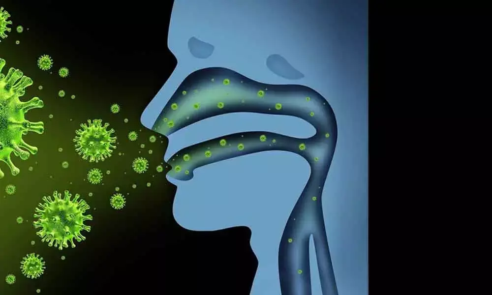 Training our immune cells to fight infections
