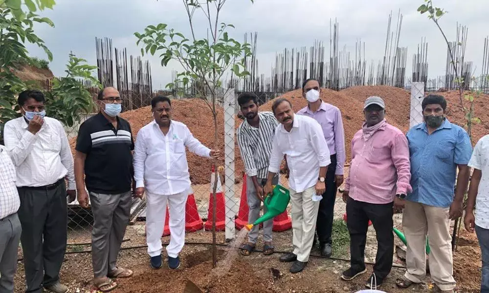 TS spent Rs. 5.9k cr to plant saplings in 6 yrs