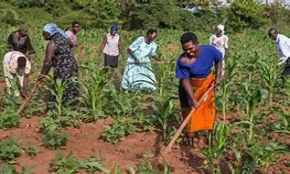 African nations urged to promote inclusive agriculture