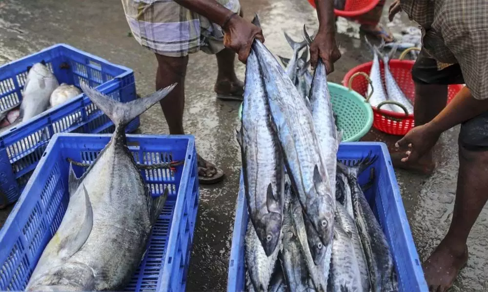 India to oppose scrapping of fishing subsidy at WTO
