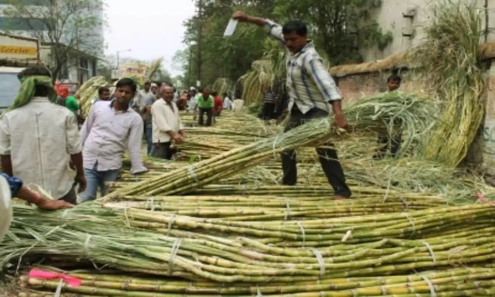 New technique in sugarcane juice clarification