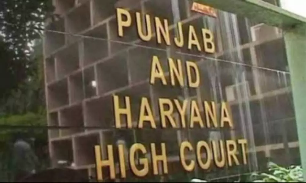 Punjab & Haryana HC paves way for probe against NSEL defaulter LOIL Group Punjab & Haryana HC paves way for probe against NSEL defaulter LOIL Group