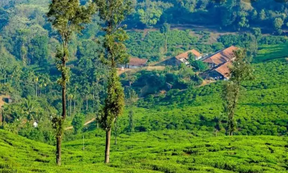 Kerala launches vax drive for tourism, hospitality staff