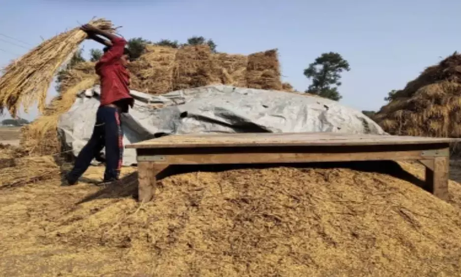 Record 308.65 million tonnes foodgrain production expected this year