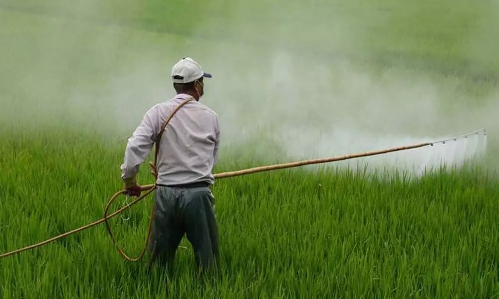 Fertiliser sales picking up Fertiliser sales picking up