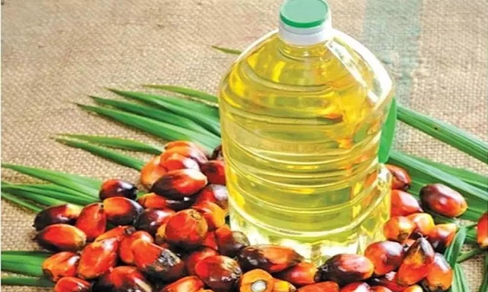 Cabinet nod for Rs.11,040-cr Edible Oil Mission