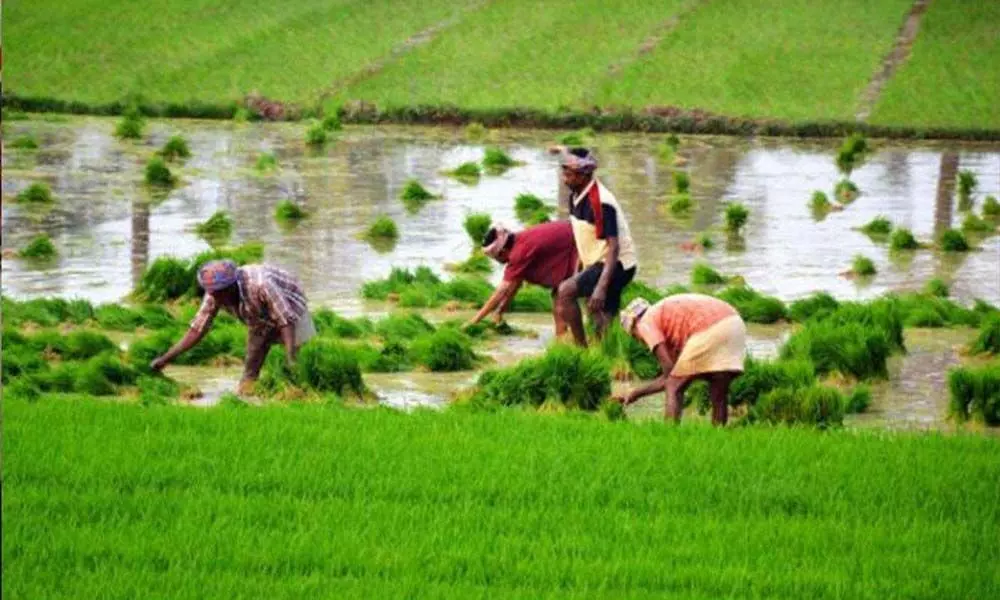 Reviving Indian agriculture is key to jump-start economy