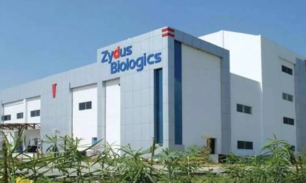 USFDA issues 3 observations to Zydus Lifesciences, Vadodara plant