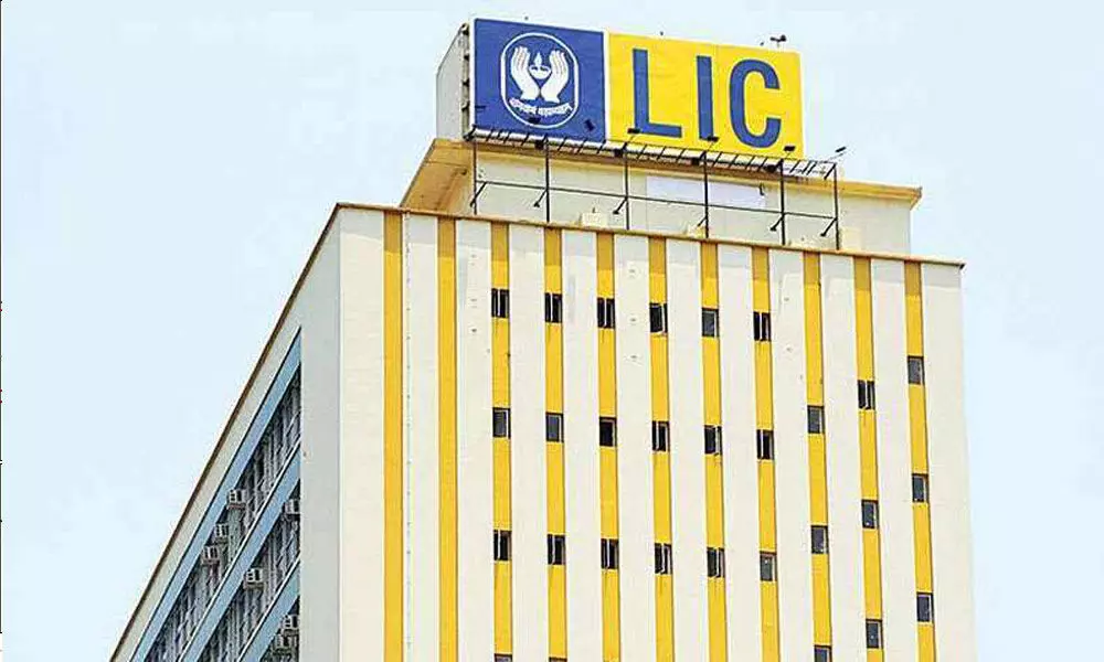 LIC leads in individual insurance, pvt sector in group insurance