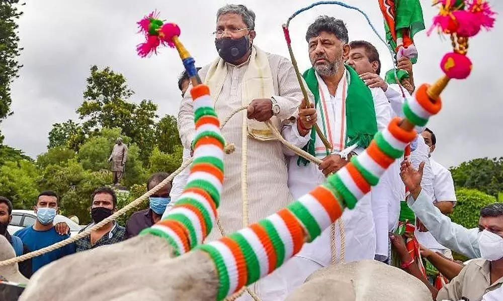 Congress leaders ride bullock carts to highlight rising fuel prices