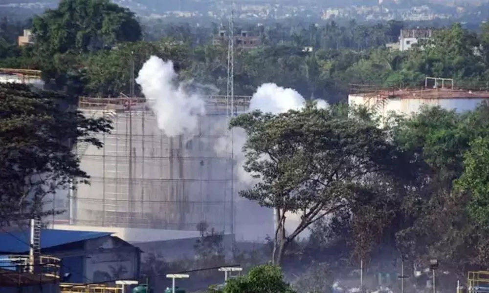 Green, white units at defunct LG Polymers site