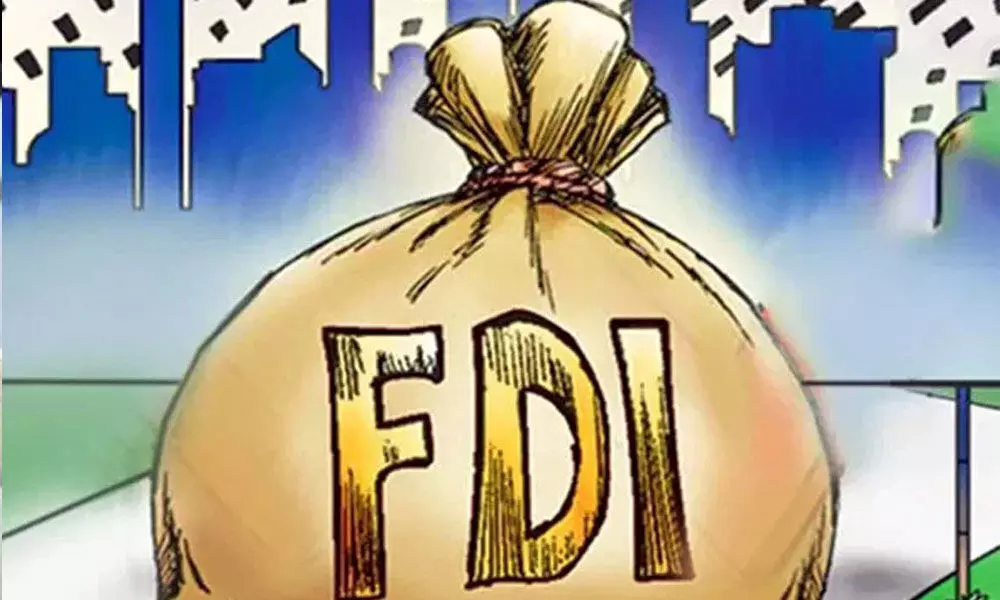 Ease of doing biz reform key to win global FDI race