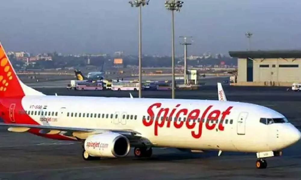 SpiceJet to file appeal in Madras HC against its order to wind up airline operation