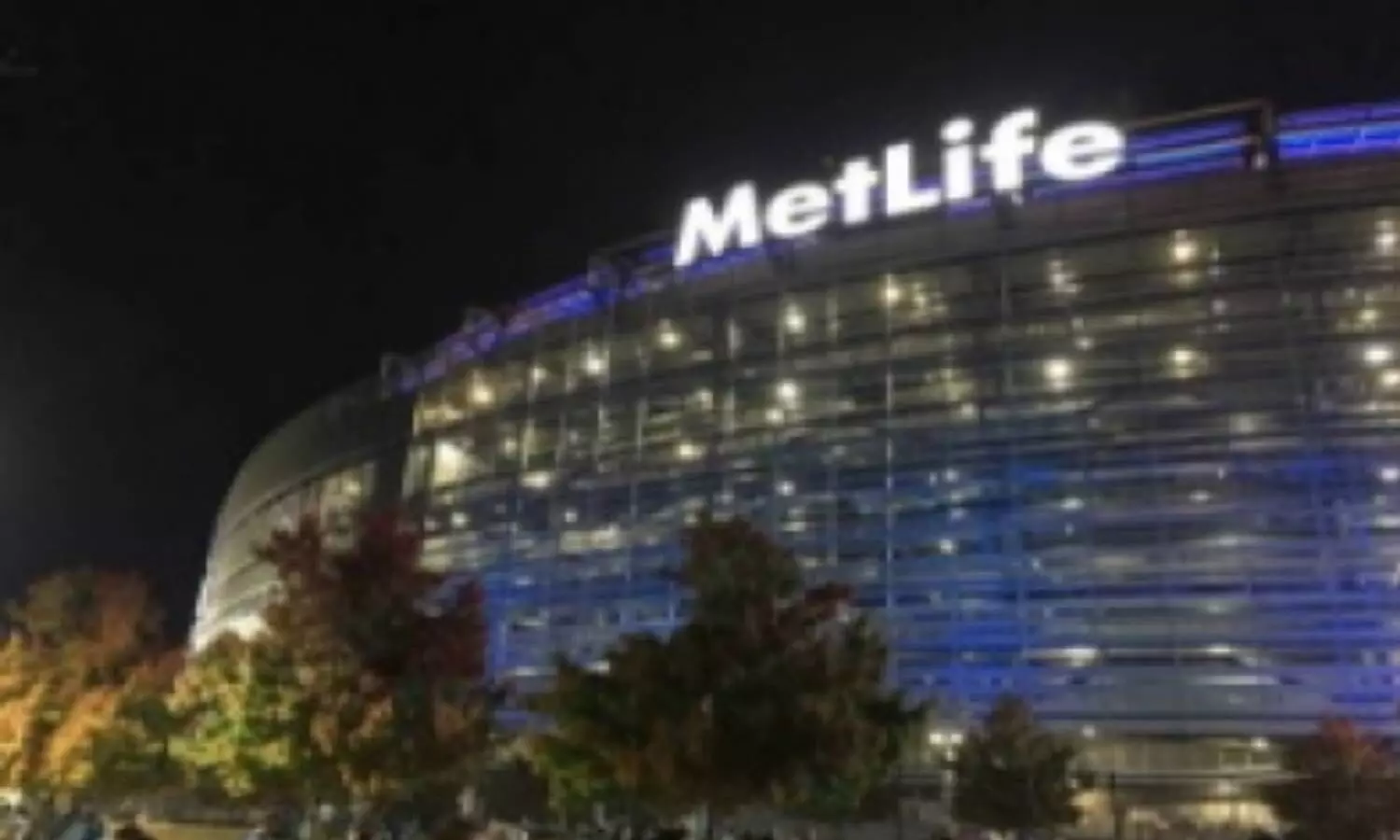 MetLife to buy out Elpro and IGEs stakes in PNB MetLife