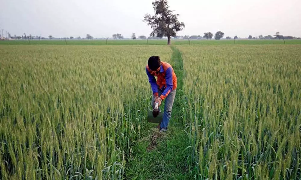 Time for India to spend more on agri innovation