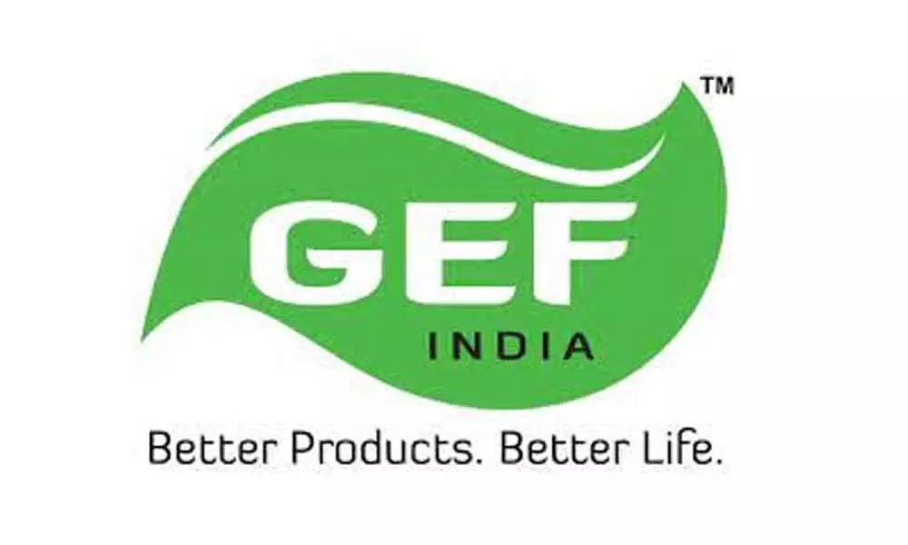 Gemini Edibles and Fats India Ltd (GEF India)