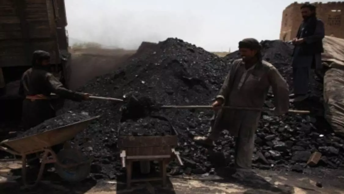 Shortage of coal supplies continues to cripple non-power sectors