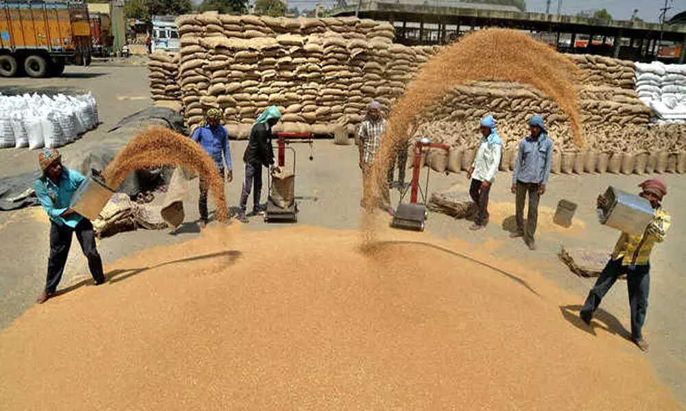 How lack of MSP driving traders to smuggle paddy into Punjab, Haryana