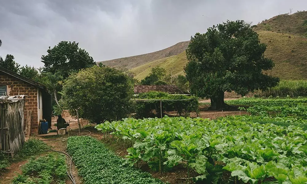How community managed natural farming can fix broken food system
