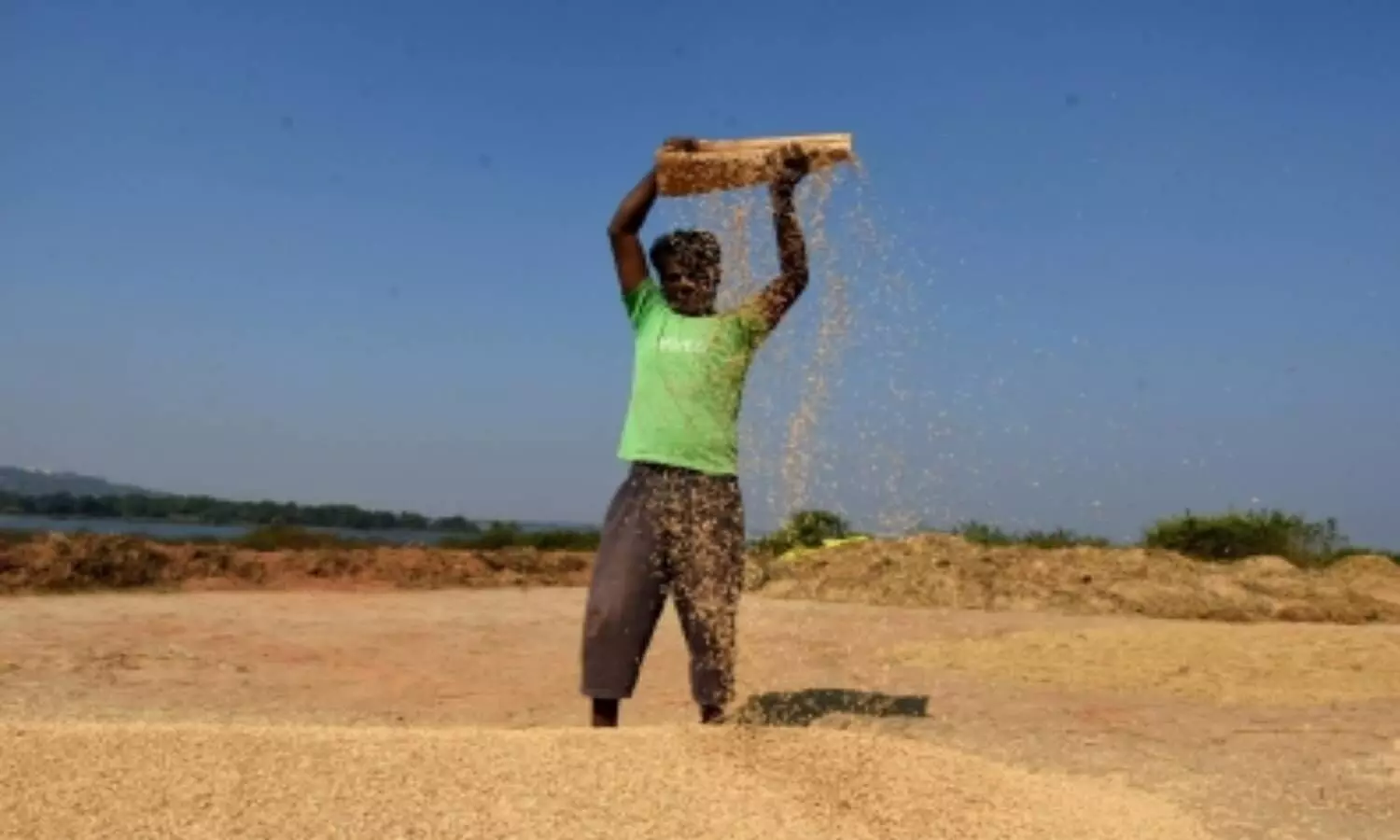 Telangana focussing on alternative crops