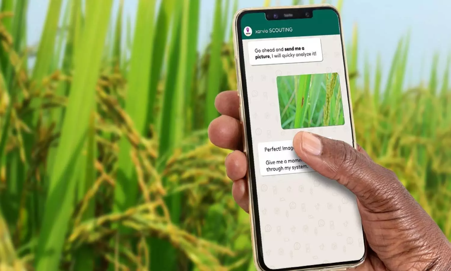 BASF Digital Farming rolls out new chatbot