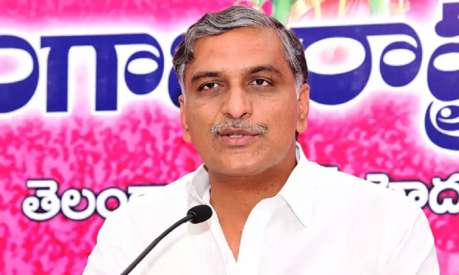 Thanneeru Harish Rao