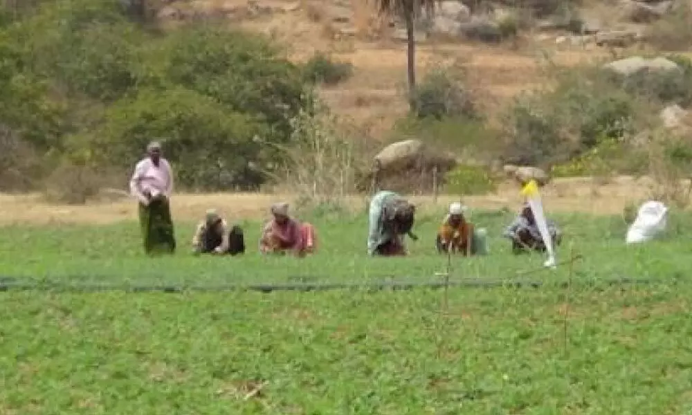 Anantapur needs framework for drought-proofing