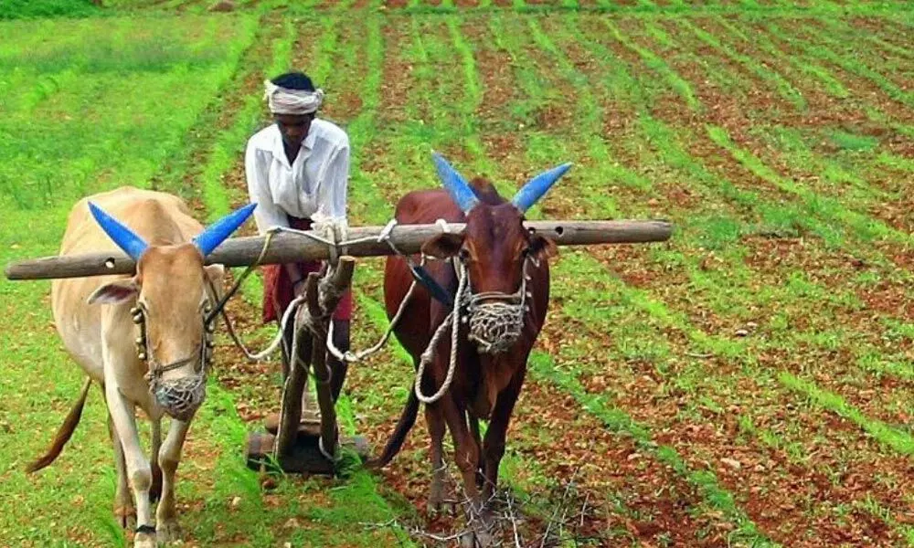 Time to bring ‘credibility revolution’ in agriculture Time to bring ‘credibility revolution’ in agriculture