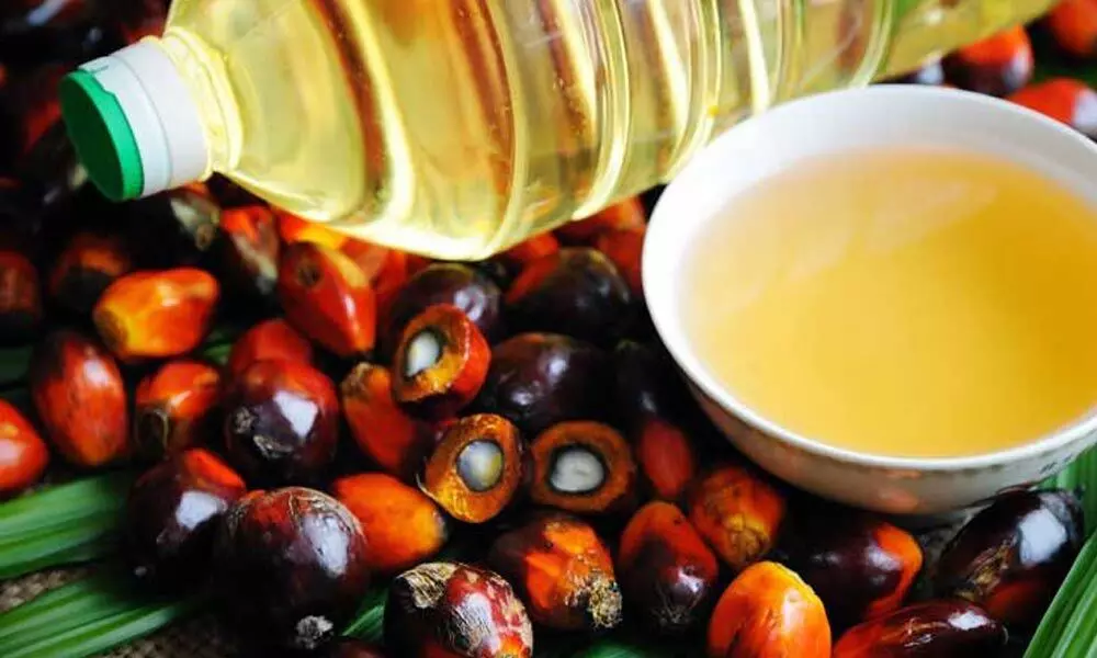The benefits of adding palm oil to your diet
