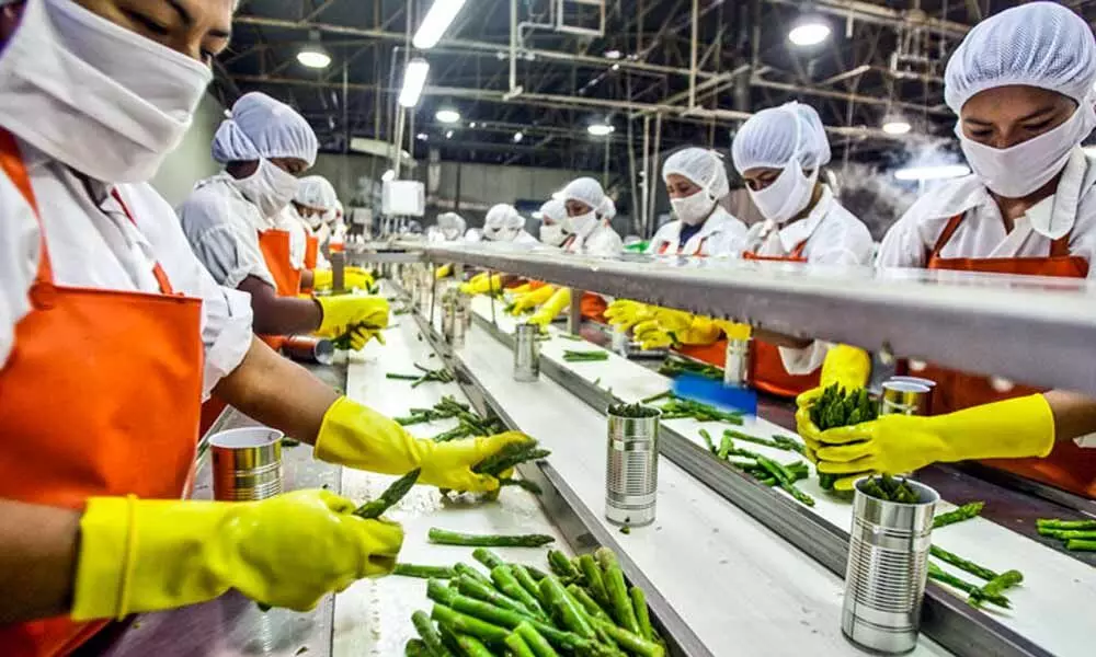 Cut GST on food processing industry: Assocham