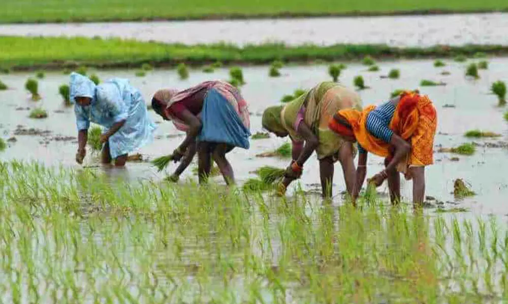 Agri-tech firm Samunnati plans to raise $100 million in Series E round