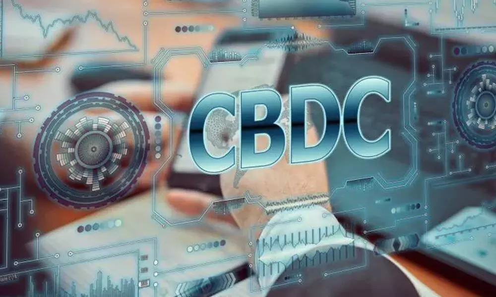Govt should expedite launch of CBDC rather than imposing a ban on crypto
