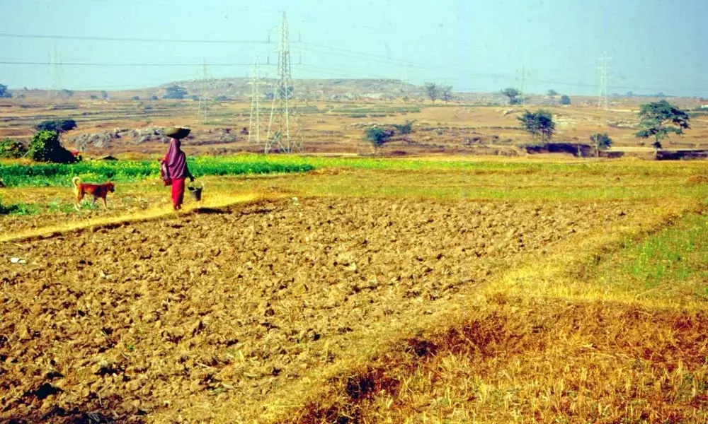 Policy intervention key to mitigate impact of climate change on farming