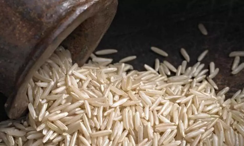 Demand for fortified rice plants