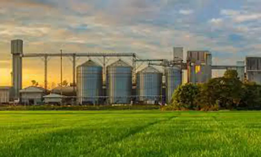 Centre disburses Rs2,071-cr loans under Agri Infra fund