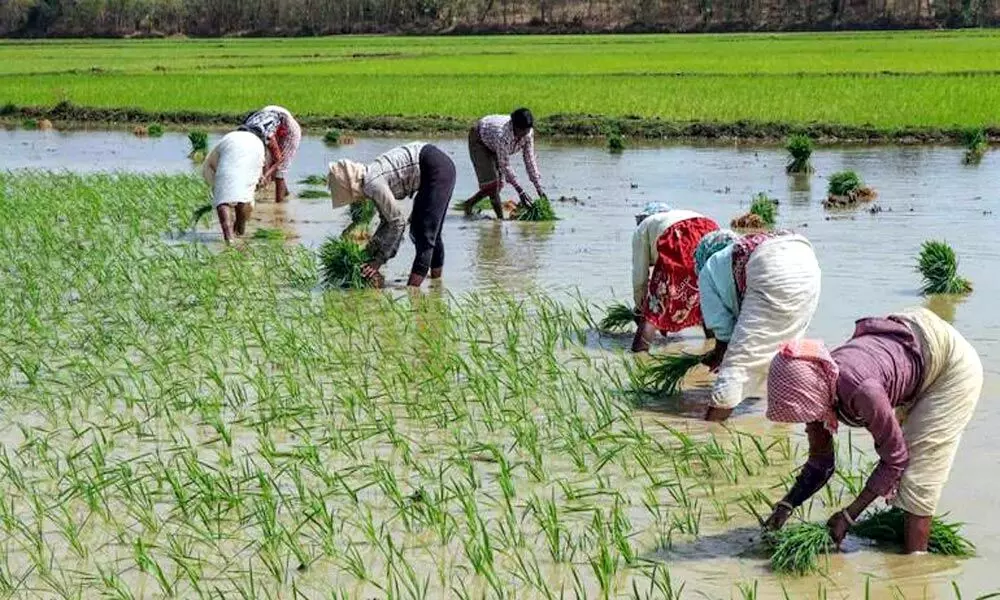 Farmers have done their job. It’s time for us to pick up the baton and complete the race